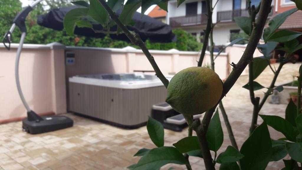 Csillag Panzio Hotel วาค ภายนอก รูปภาพ
